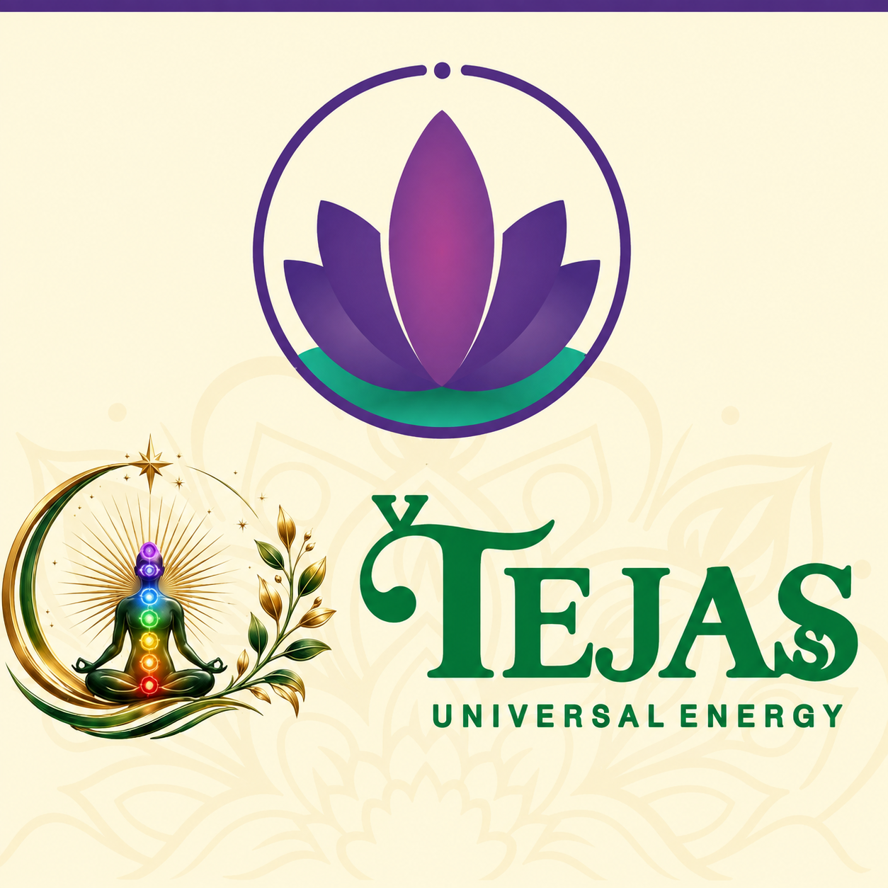 Tejas Universal Energy